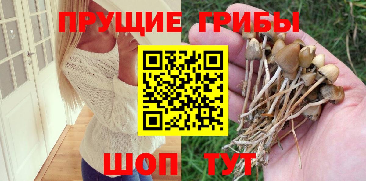 Псилоцибиновые грибы мухоморы  Вход с VPN  Якутск 